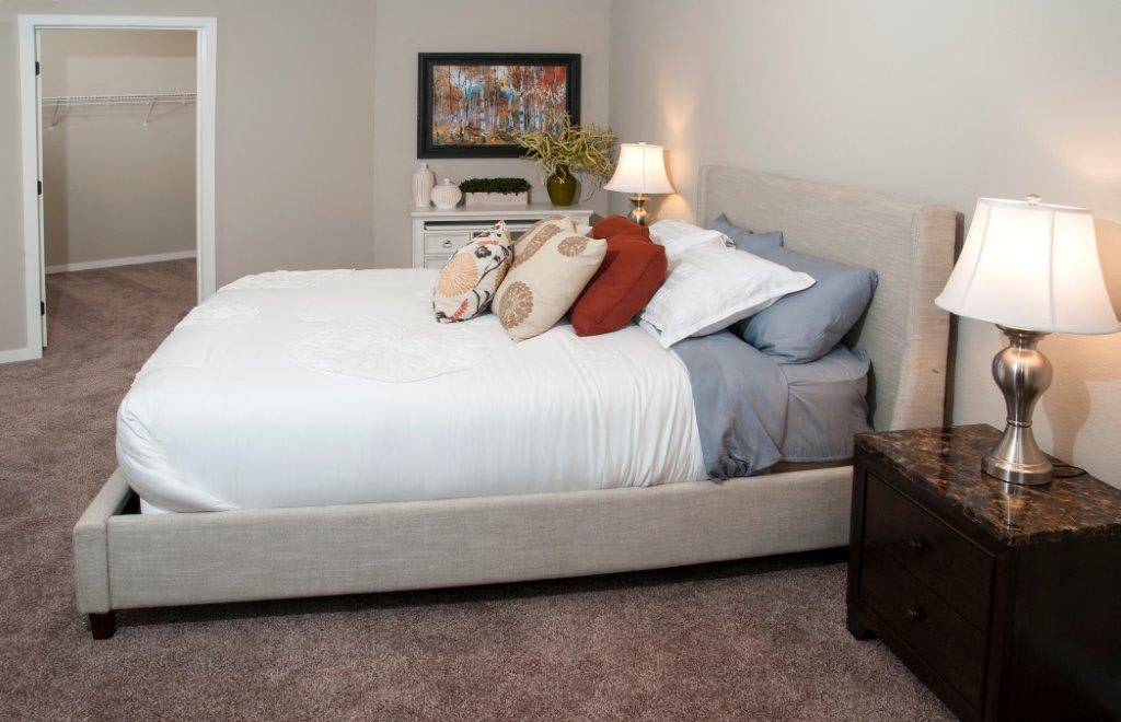 Apartments in MN Overlook on the Creek Photos